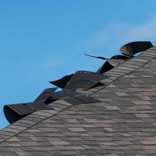 Storm damaged shingle with circled damage marks