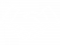 Hand Shaking Icon